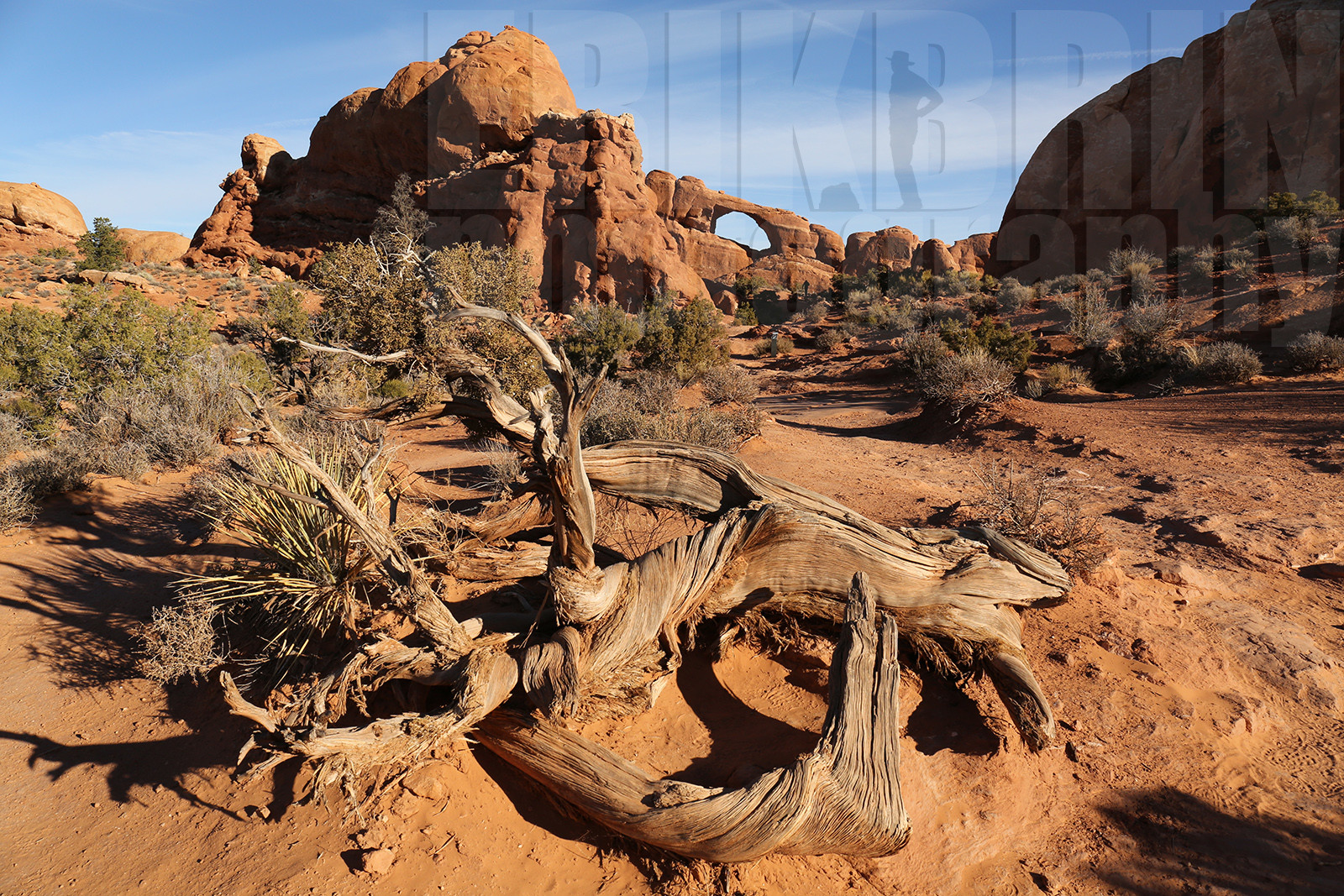 ref-7650-usa18-arches-national-park-usa-desert-road-trip-photographe-ouest-americain.jpg