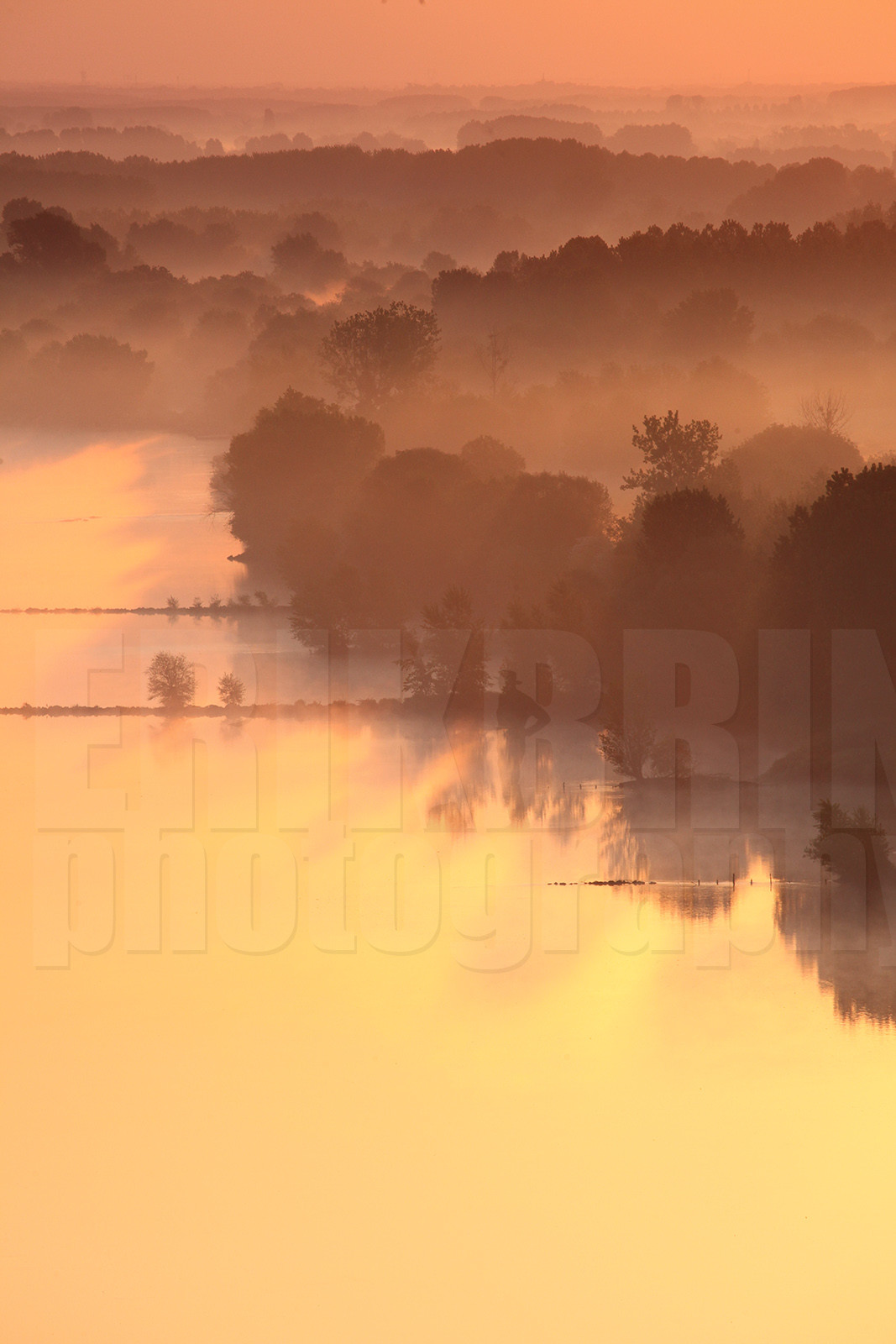 ref-1710-lo11-la-loire-banc-de-sable-paysage-photos-de-la-loire-photographe-brume-brouillard.jpg