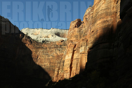 ref-9100-usa18-zion-national-park-utah-usa-photographe-phototheque.jpg