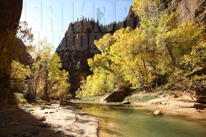 ref-9170-usa18-zion-national-park-utah-usa-photographe-phototheque.jpg