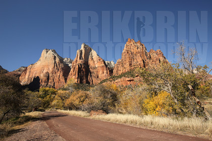 ref-9320-usa18-zion-national-park-utah-usa-photographe-phototheque.jpg