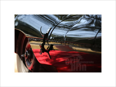 voitc48-jaguar-voiture-de-course-vintage-deco-photos-de-voitures-anciennes-photographe-tirage-photo.jpg