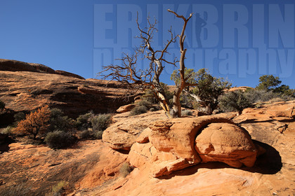ref-8110-usa18-arches-national-park-usa-desert-road-trip-photographe-ouest-americain.jpg