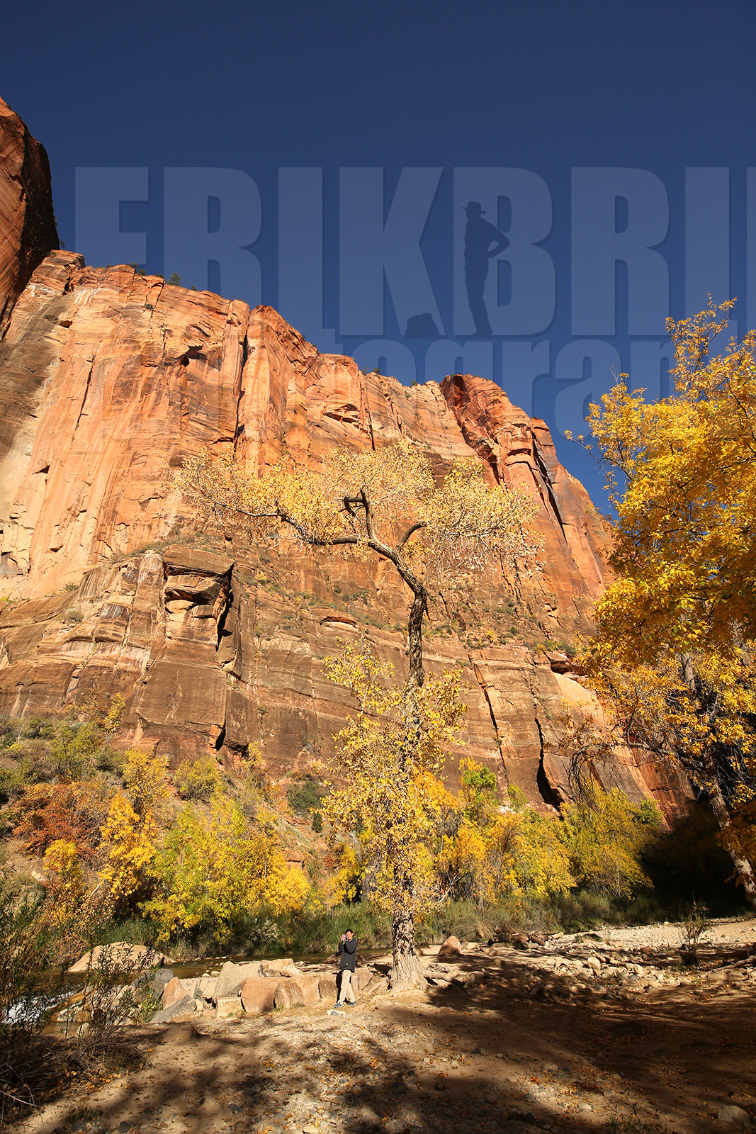 ref-9120-usa18-zion-national-park-utah-usa-photographe-phototheque.jpg