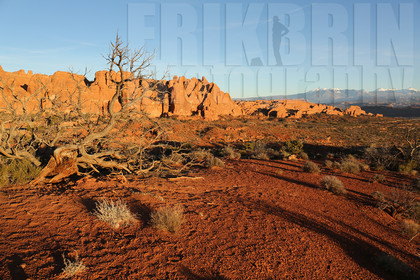 ref-7710-usa18-arches-national-park-usa-desert-road-trip-photographe-ouest-americain.jpg