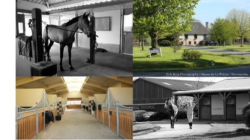 Reportage Haras de la Roque   Normandie