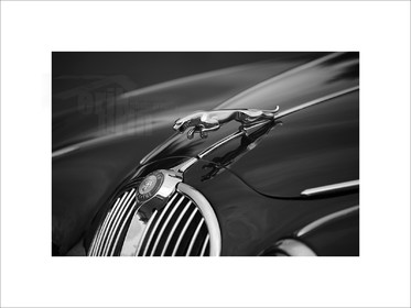 voit0131-voiture-ancienne-vieille-voiture-ford-mustang-photo-noir-et-blanc-photographe-vintage-.jpg