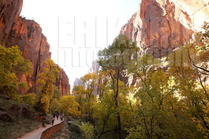 ref-9230-usa18-zion-national-park-utah-usa-photographe-phototheque.jpg
