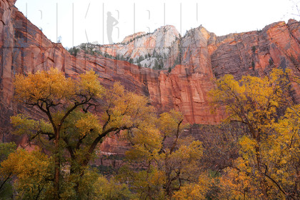 ref-9140-usa18-zion-national-park-utah-usa-photographe-phototheque.jpg