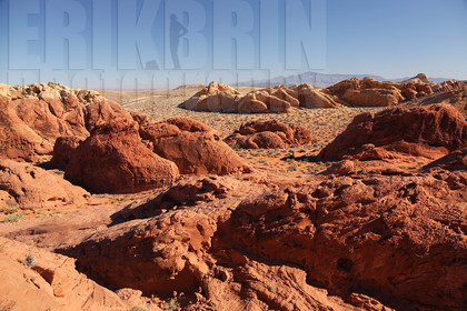 ref-8590-usa18-valley-of-fire-usa-nevada-desert-road-trip-photographe.jpg