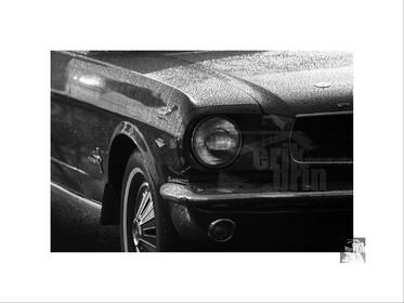 Voitures anciennes en noir et blanc