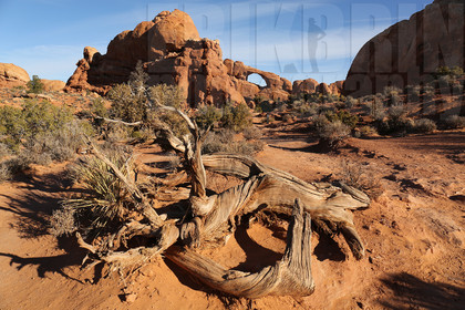 ref-7650-usa18-arches-national-park-usa-desert-road-trip-photographe-ouest-americain.jpg