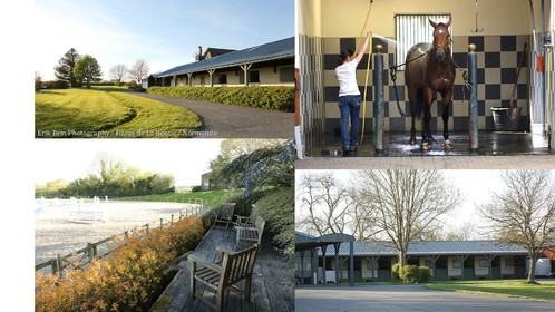 Reportage Haras de la Roque   Normandie