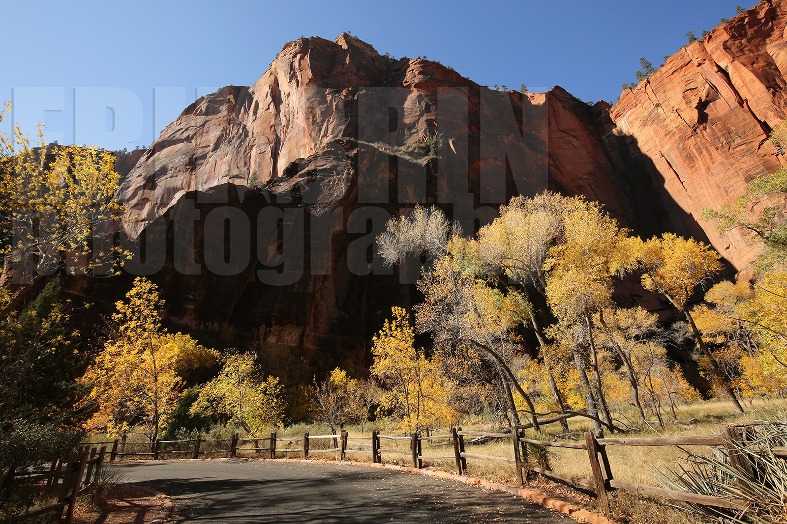 ref-9270-usa18-zion-national-park-utah-usa-photographe-phototheque.jpg