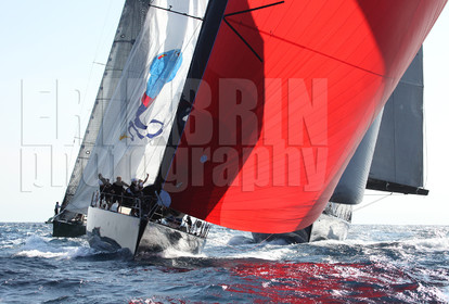 ref16400-vst2013-spi-voile-voilier-bateau-mer-photographe.jpg