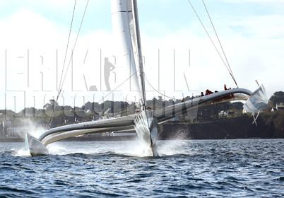 ref40030-tri2021-bateau-de-course-trimaran-voilier-voile-photo-de-bateau.jpg