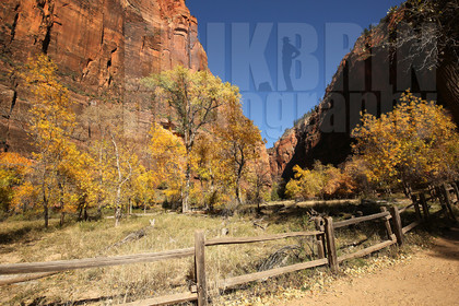 ref-9250-usa18-zion-national-park-utah-usa-photographe-phototheque.jpg