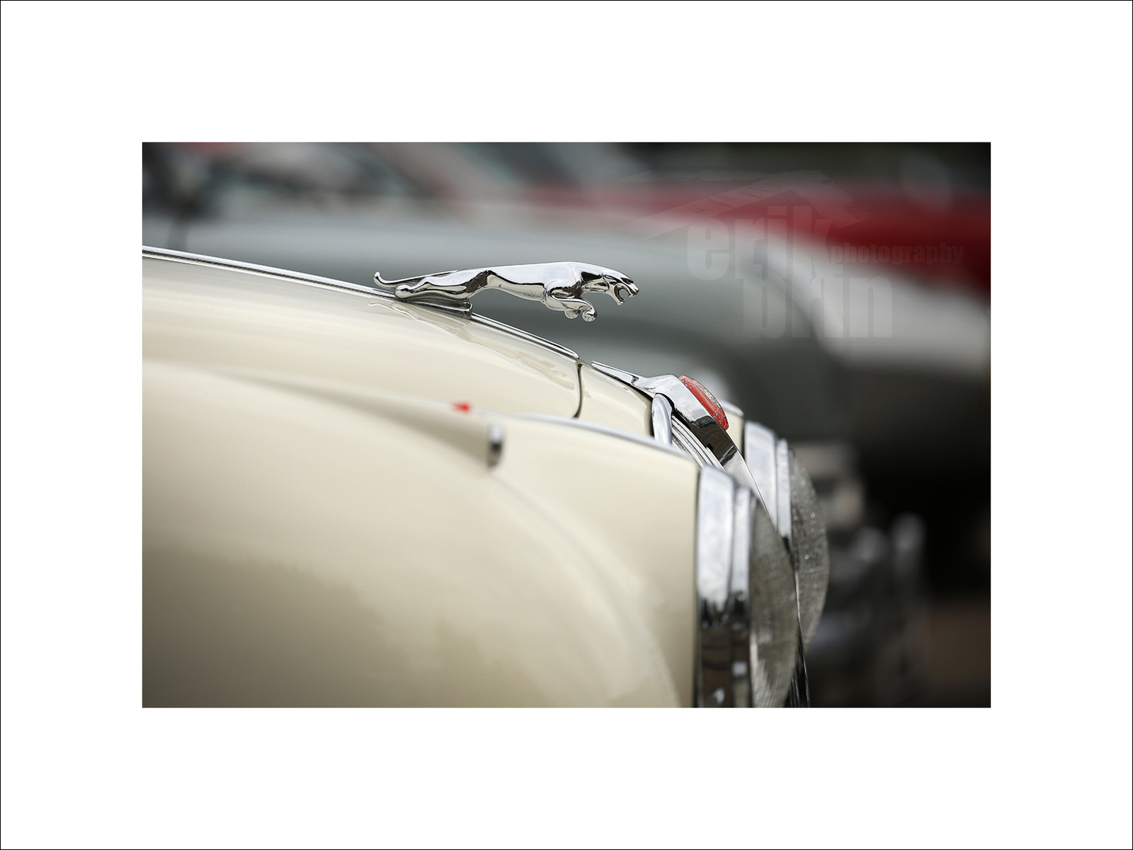 voitc071-jaguar-voitures-anciennes-photographe-de-voitures-deco-tirage-photo-voiture-vintage.jpg