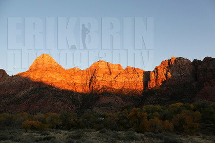 ref-9070-usa18-zion-national-park-utah-usa-photographe-phototheque.jpg