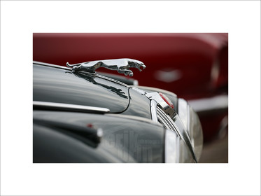 voitc072-jaguar-voitures-anciennes-photographe-de-voitures-deco-tirage-photo-voiture-vintage.jpg