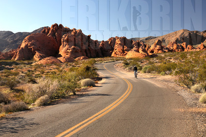 ref-8540-usa18-valley-of-fire-usa-nevada-desert-road-trip-photographe.jpg