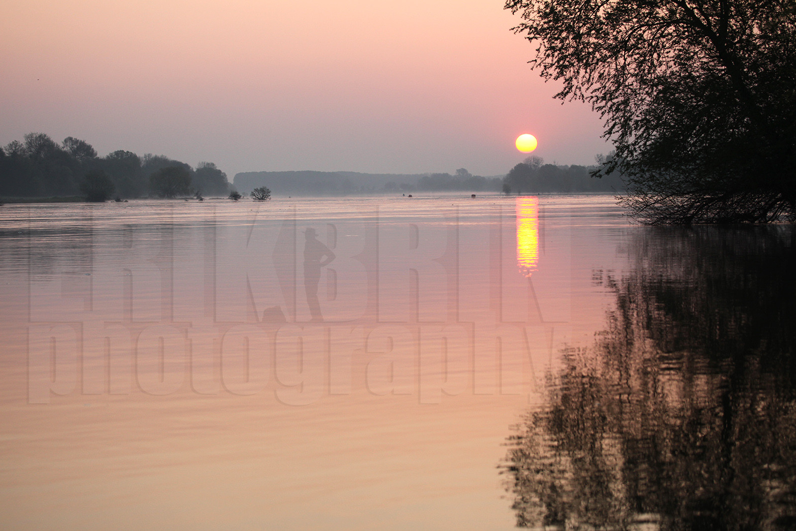 ref-1790-lo10-la-loire-paysage-photos-de-la-loire-photographe-brume-brouillard.jpg