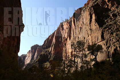 ref-9220-usa18-zion-national-park-utah-usa-photographe-phototheque.jpg