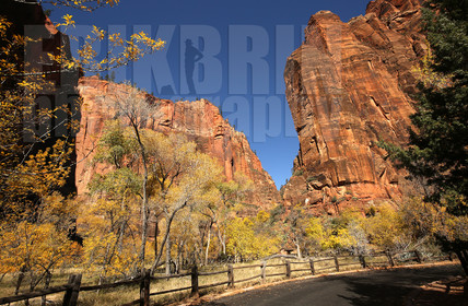 ref-9280-usa18-zion-national-park-utah-usa-photographe-phototheque.jpg