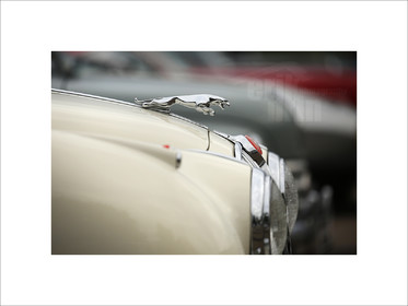 voitc071-jaguar-voitures-anciennes-photographe-de-voitures-deco-tirage-photo-voiture-vintage.jpg