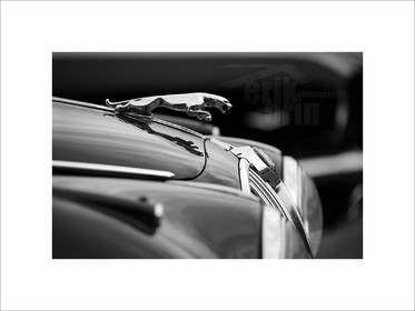voit0129-jaguar-photo-noir-et-blanc-photographe-voitures-anciennes-tirage-photo.jpg