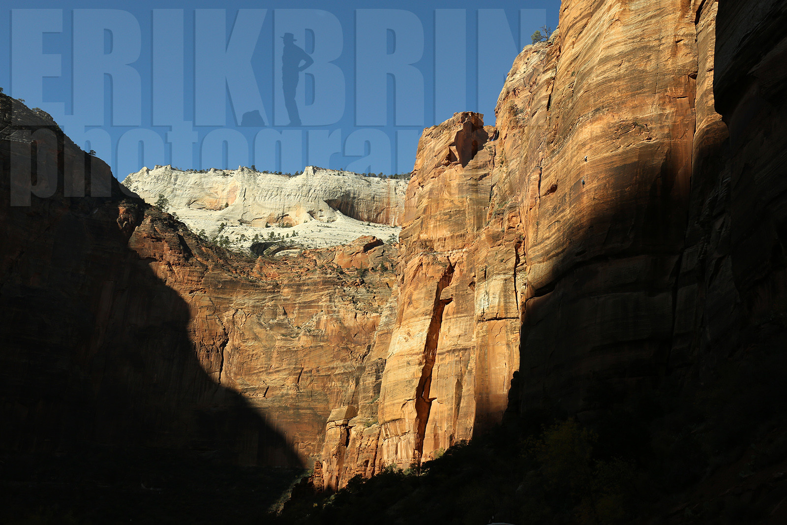 ref-9100-usa18-zion-national-park-utah-usa-photographe-phototheque.jpg