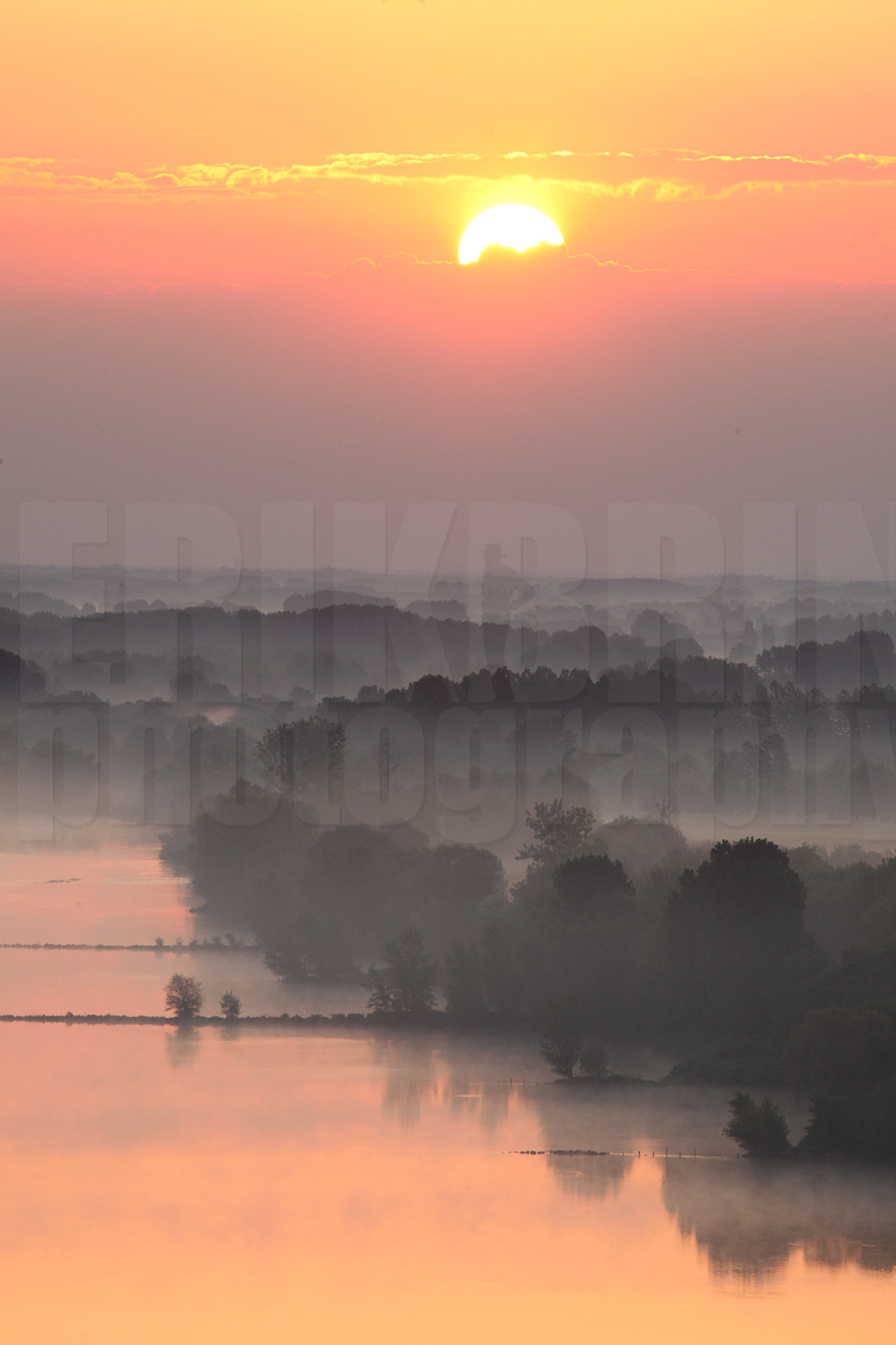 ref-1680-lo11-la-loire-banc-de-sable-paysage-photos-de-la-loire-photographe-brume-brouillard.jpg
